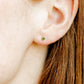 Screwback Stud Earrings - Cooper Emerald